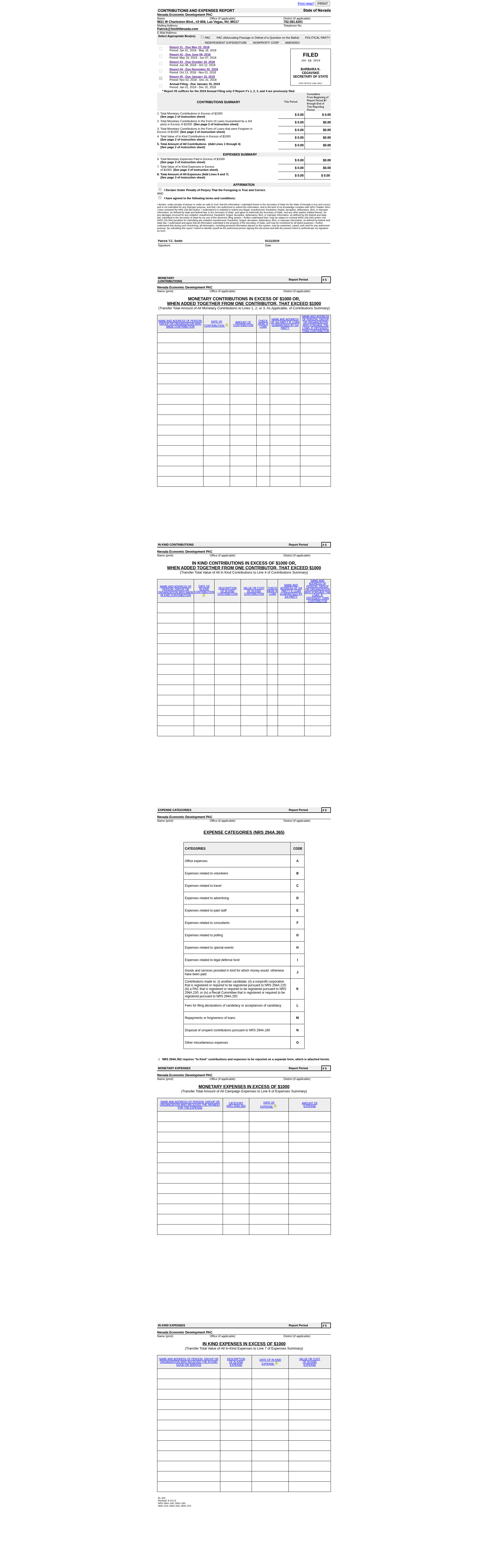 NEDPAC NVSOS filing - January 11, 2019